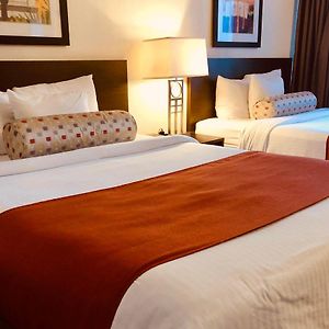 One-Bedroom Queen Suite
